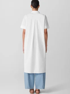 Washed Organic Cotton Poplin Classic Collar Shirtdress