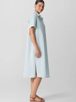 Washed Organic Cotton Poplin Classic Collar Shirtdress